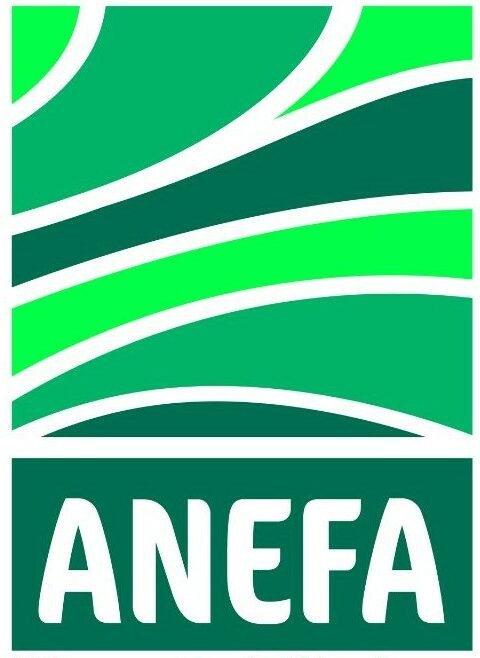Logo ANEFA